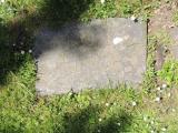 image of grave number 725935